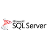 Microsoft Server Icon