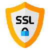 SSL Pinning Icon